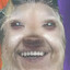 Gurt Cobain