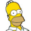 Simpson gamer