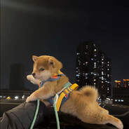 爱情公寓关谷神奇