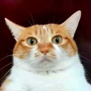 人人果实幻兽种鸽子形