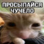 Схуяли Ято