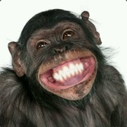 今天鸡儿想放假