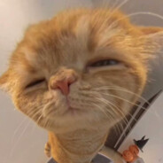 两个汉堡吃不饱