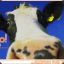 Moo