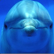DelFin