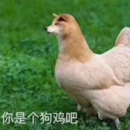 我叫GG爆，靠近就会爆