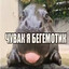 1Hippo Scav
