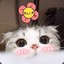 奶油小蘑菇