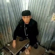 葫芦岛市奥力给专家