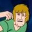 SHAGGY