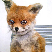 Хитрый ЛИС - steam id 76561198105769419