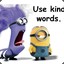 I LIKE MINIONS