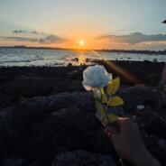 翻斗花园突击手胡图图