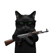 CounterCat