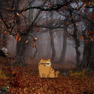 Pls stop it [VAC BANNED]