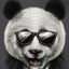 Mr. Pandasune