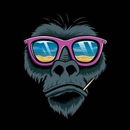 B000ZE - steam id 76561199043003082
