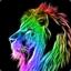 Lion98