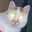 dongo22's Avatar