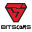 BitScams