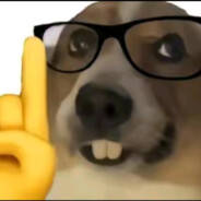 眉头一皱退至队友身后