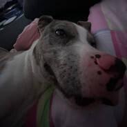 рИо.камаТА sto sam MJUT