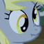 funny gray horse