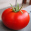 old tomato