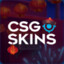 Temk CSGOSKINS