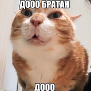 MozaRacer