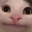 S T C