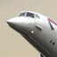 Jet-Setting Lumpencattle