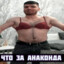 52 всем своим