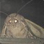 StinkyMoth
