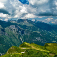 大米小米的小跟班