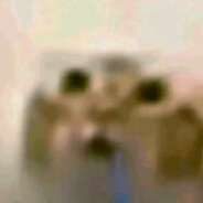 Avatar of cat