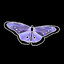 Vel