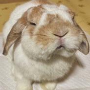 bunning on controller
