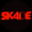 skade013