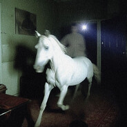 Horse avatar