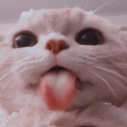 r8 - steam id 76561199121016436