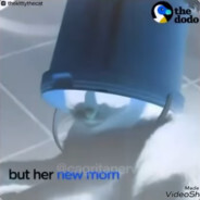Bucket Head's Phantom