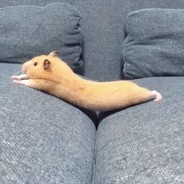 开开心心