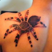 oLezzzka - steam id 76561197961367524