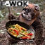 E-Wok