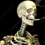 Smoking Skeleton