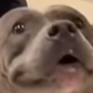 Vix Ryuu