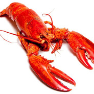 мер лоутаба