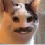 MM