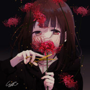 Lycoris